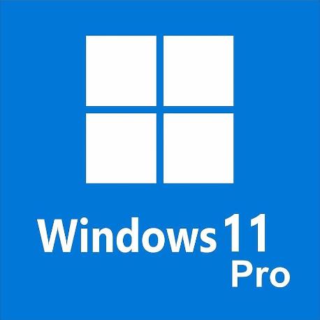 INSTALACIÓN DE WINDOWS 10 PRO